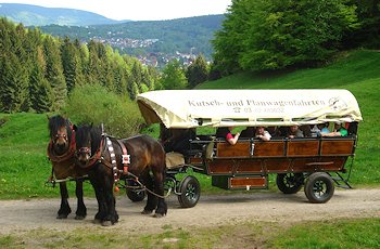 Planwagen- & Pferdeschlittenfahrten im Thüringer Wald